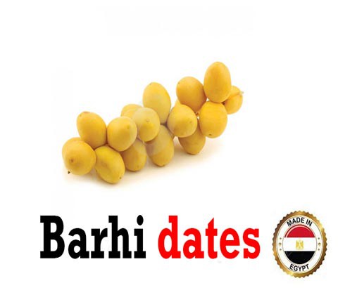 Barhi Dates