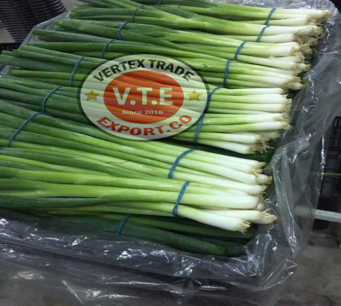 Green onion