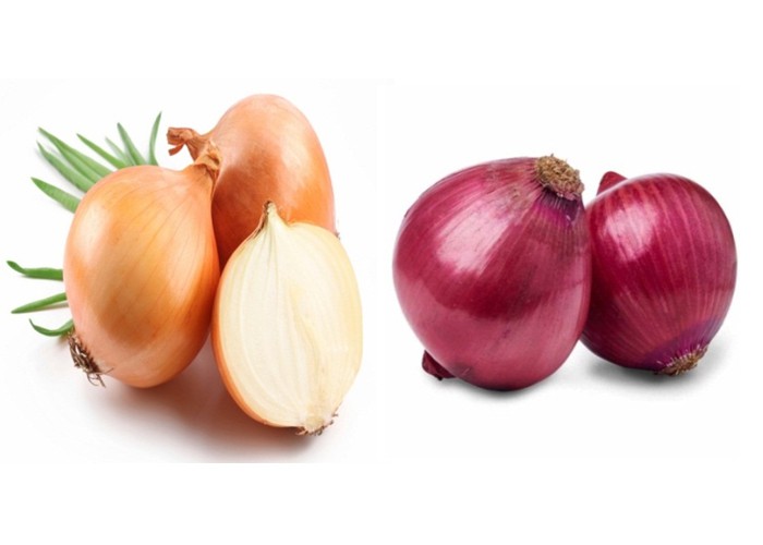 Egyptian Onions