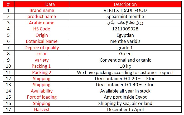 Spearmint menthe varidis