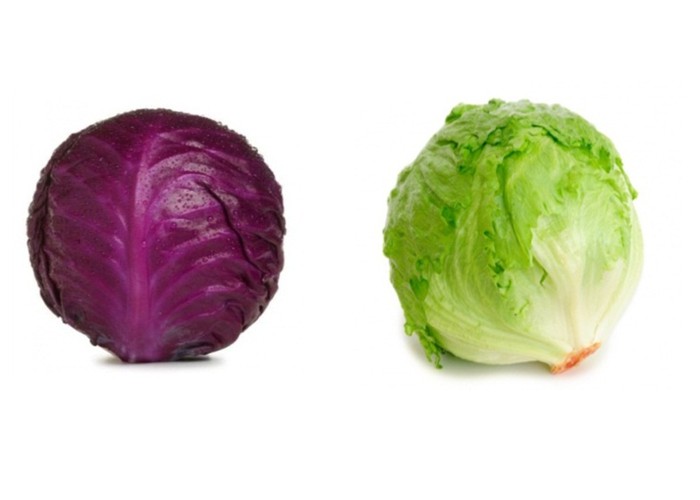 Iceberg lettuce
