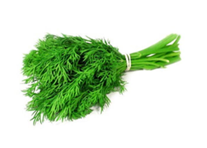 Dill Fresh